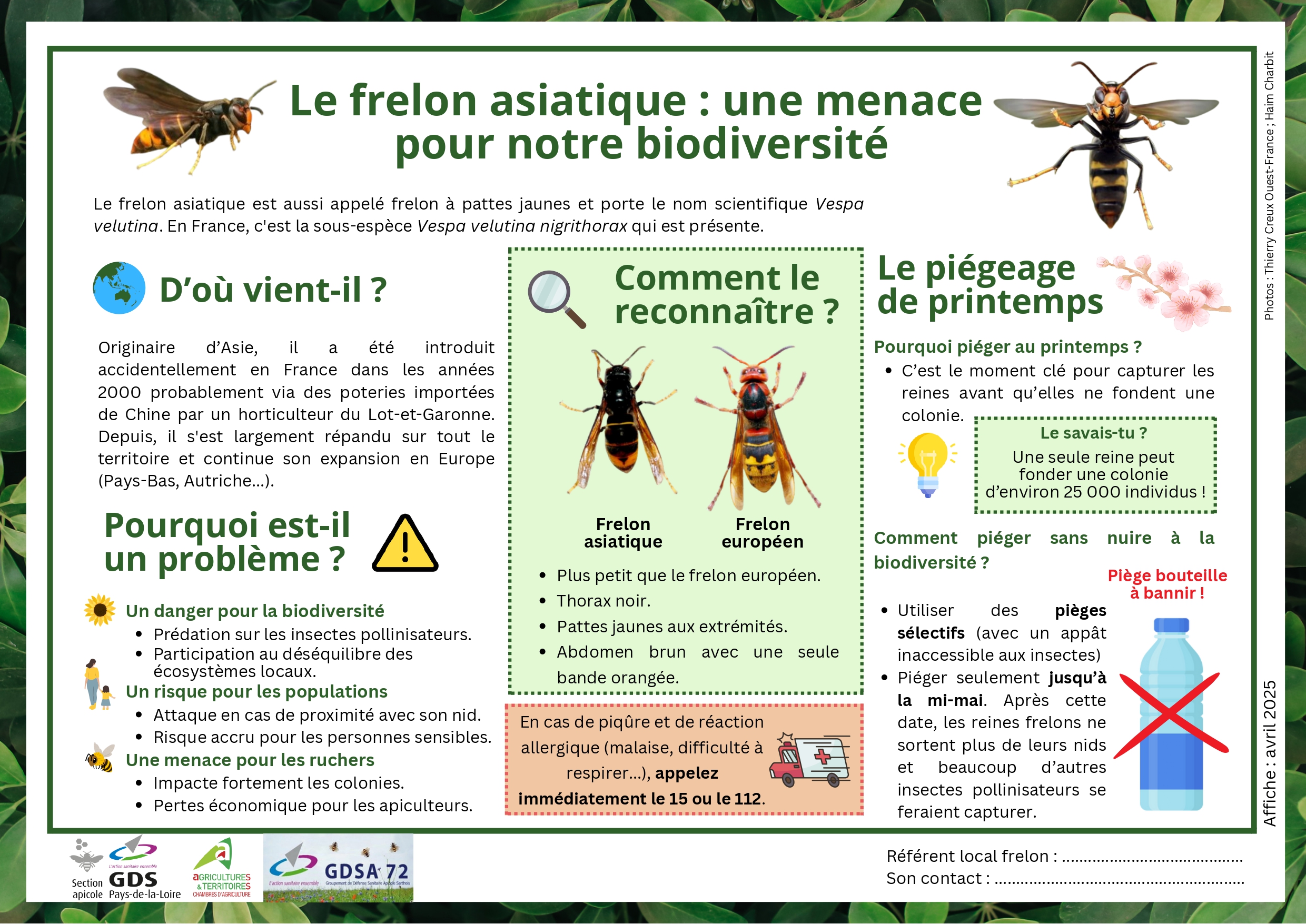 72. Affiche pédagogique frelon asiatique 1 page 0001 1