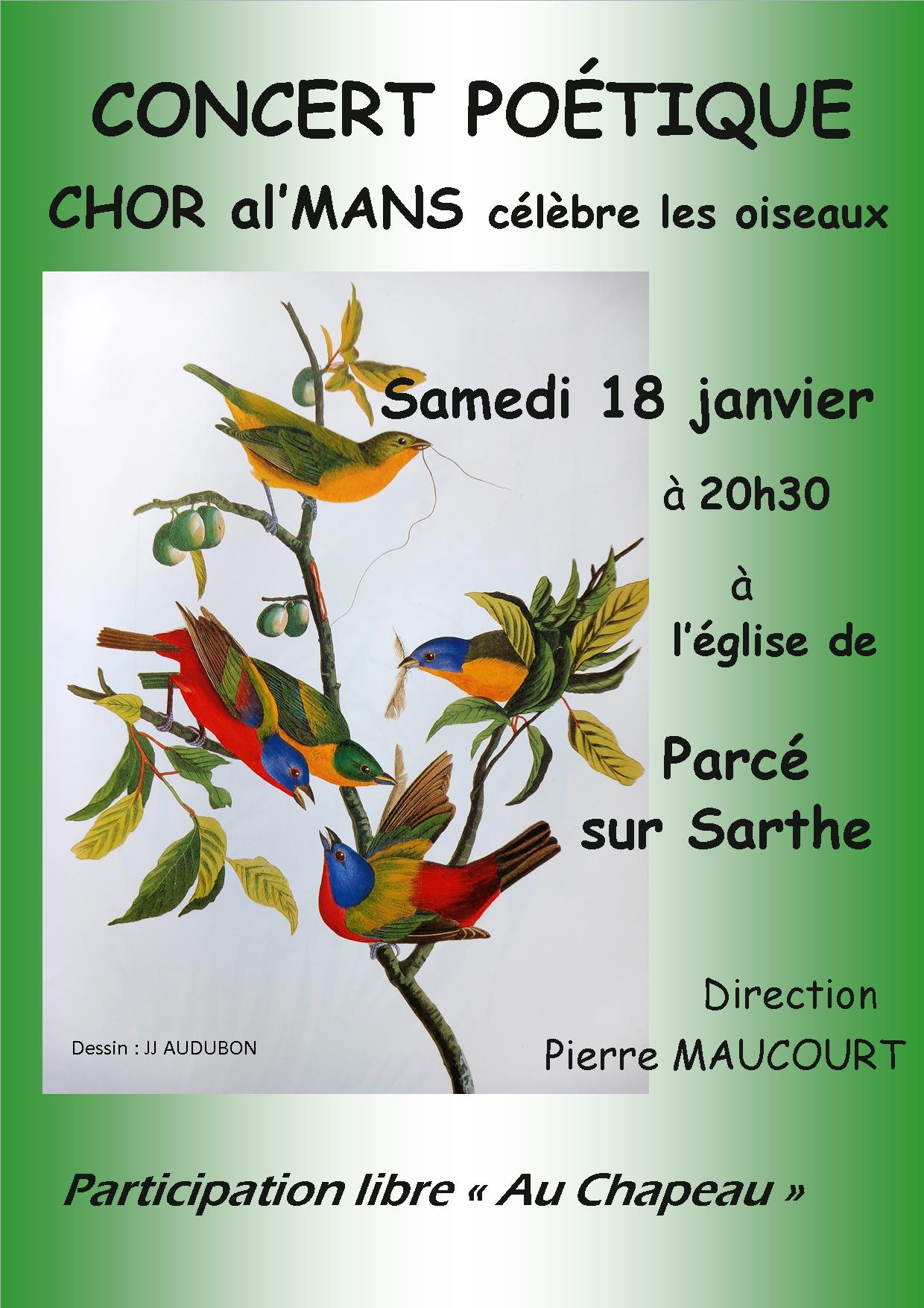 Affiche oiseaux Parcé janvier 2025