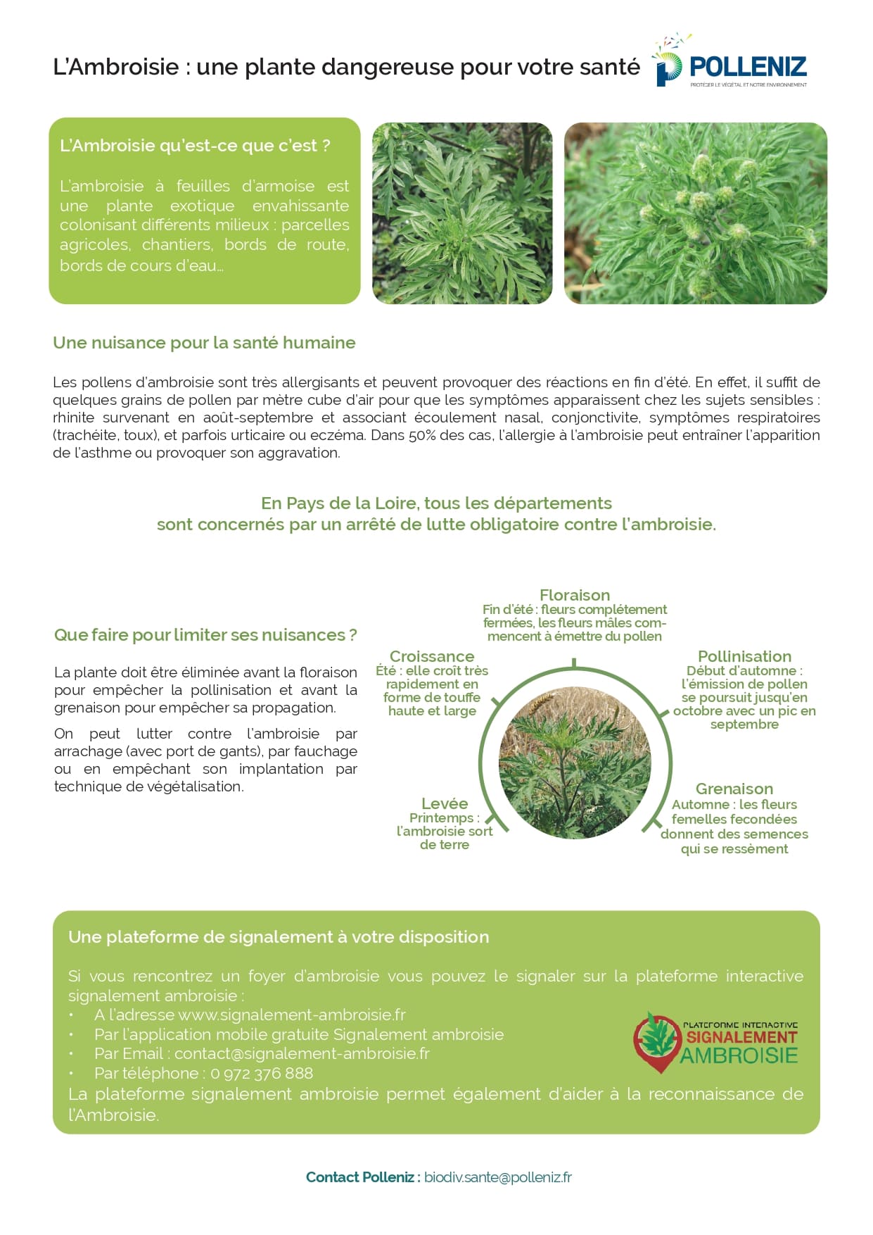 Communiqué ambroisie FLYER page 0001